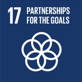 Partnerships for the Goals SDG17