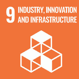 Industry, Innovation and Infrastructure SDG9