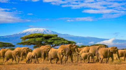 African Tourism United to Transform Sector for Growth and Opportunity