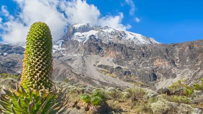 UNWTO and Ojimah Partner Around Branding and Innovation for African Tourism