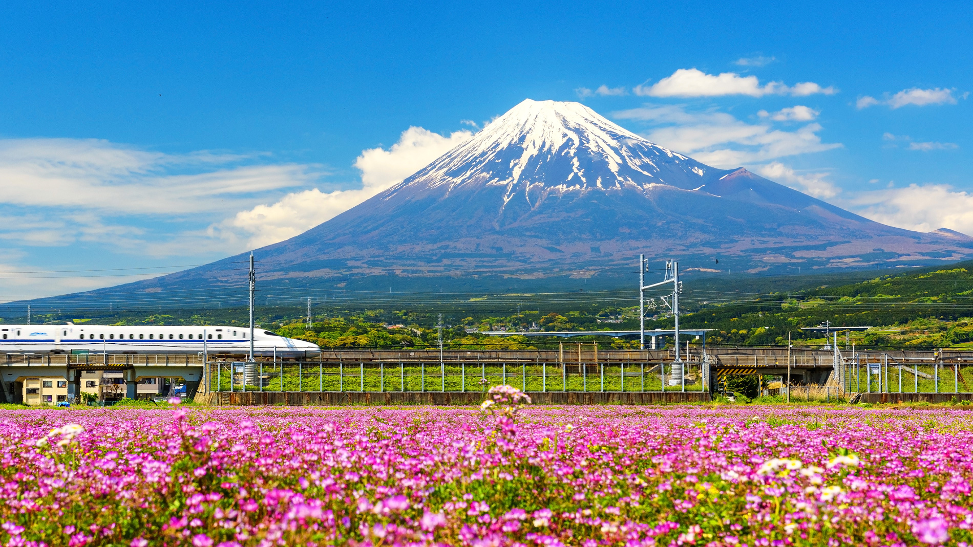 UN Tourism News